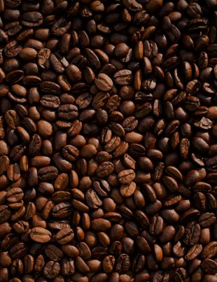 coffee bean lot