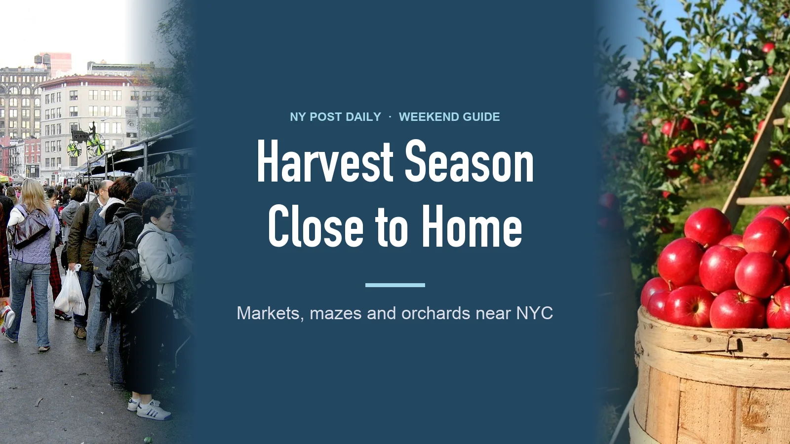 A Fall Harvest Weekend in New York, After a Hard Year for Farmers: featured image